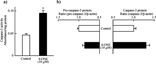 Fig. 5