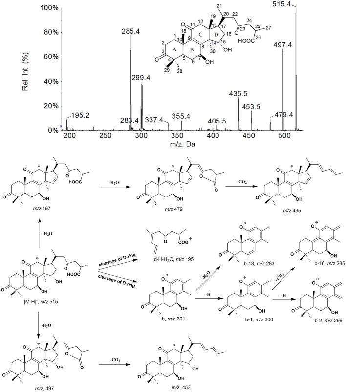 Figure 4