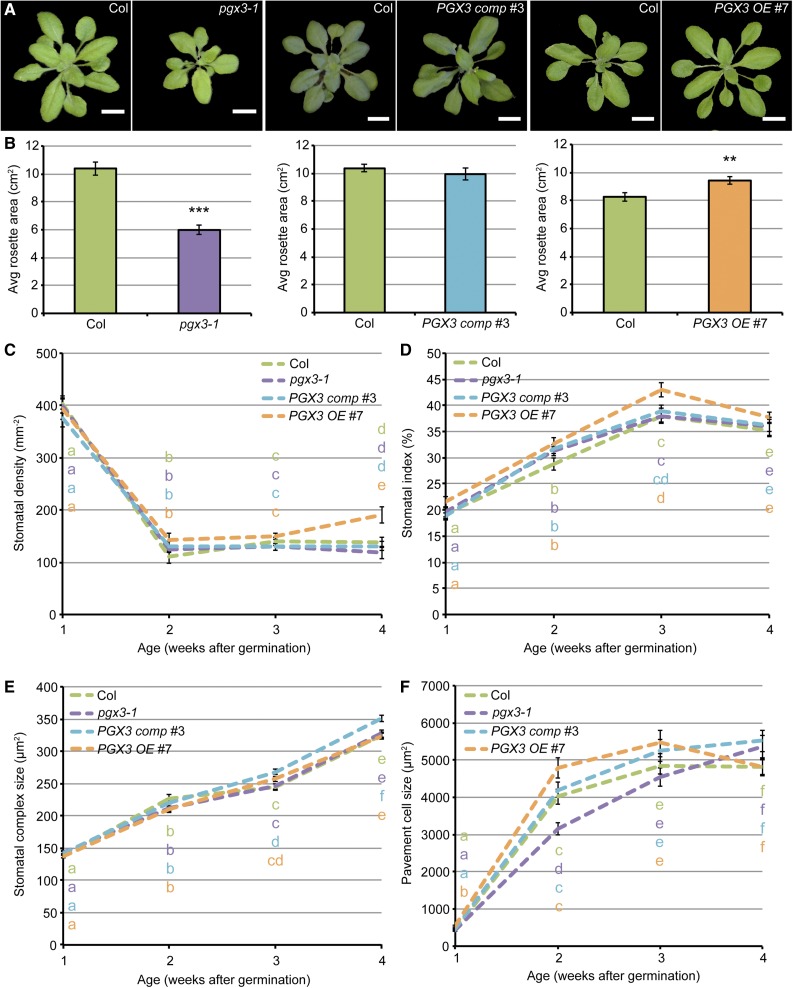 Figure 4.