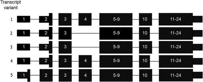 Figure 2