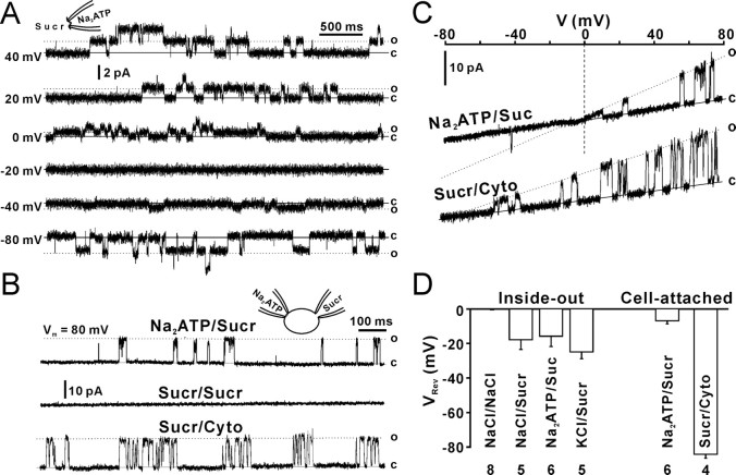 Figure 6.