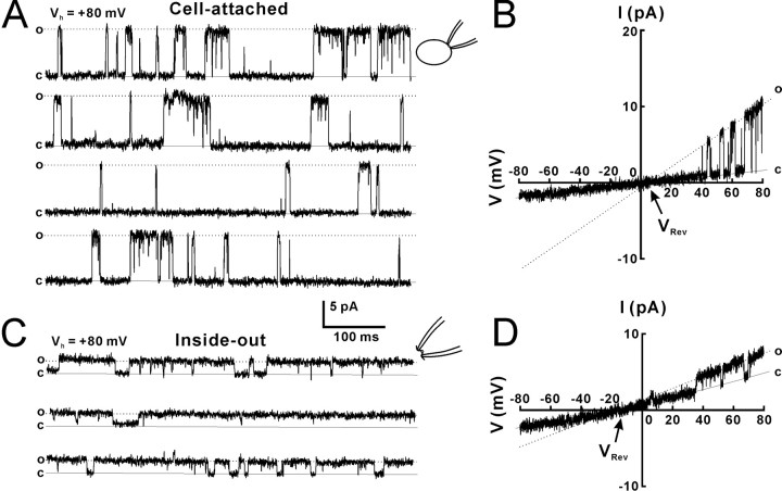 Figure 7.