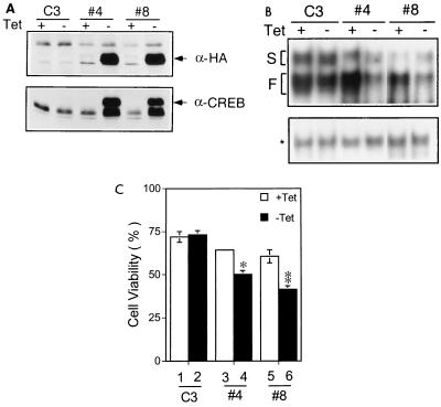 FIG. 6