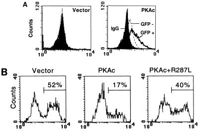 FIG. 7