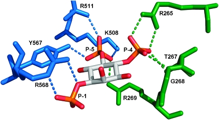 Fig. 2