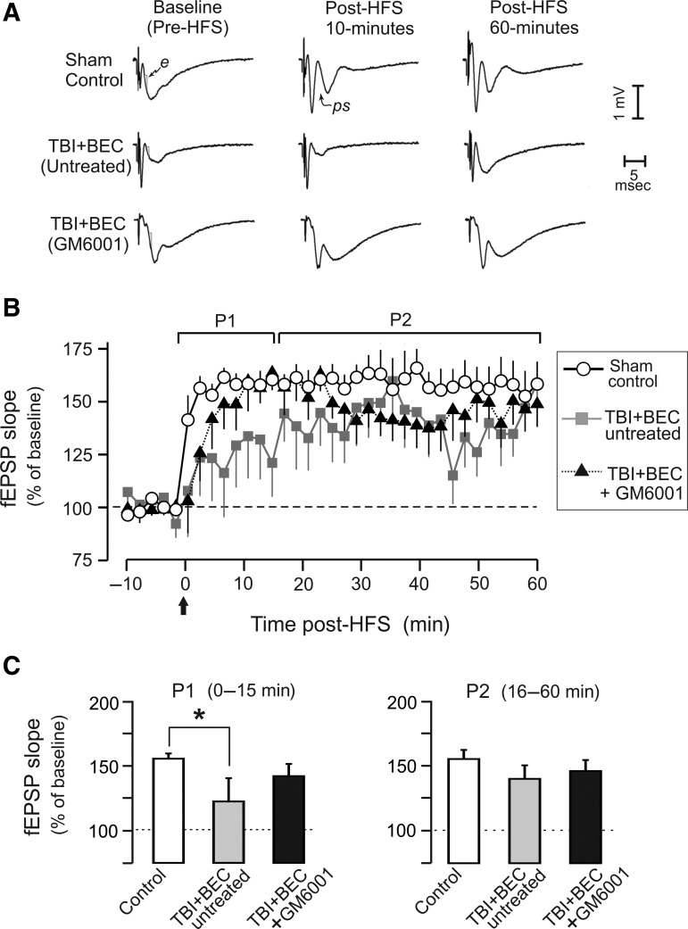 FIG. 7.