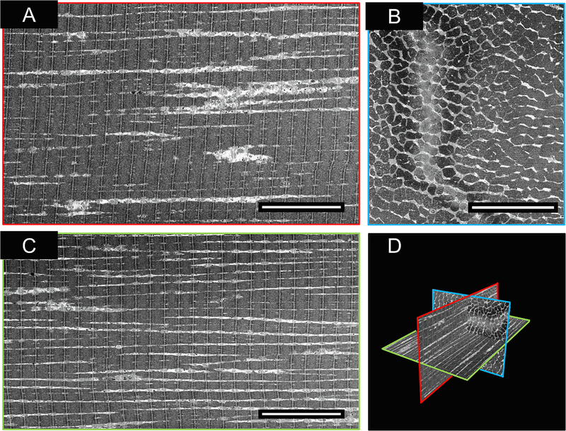 Fig. 3.