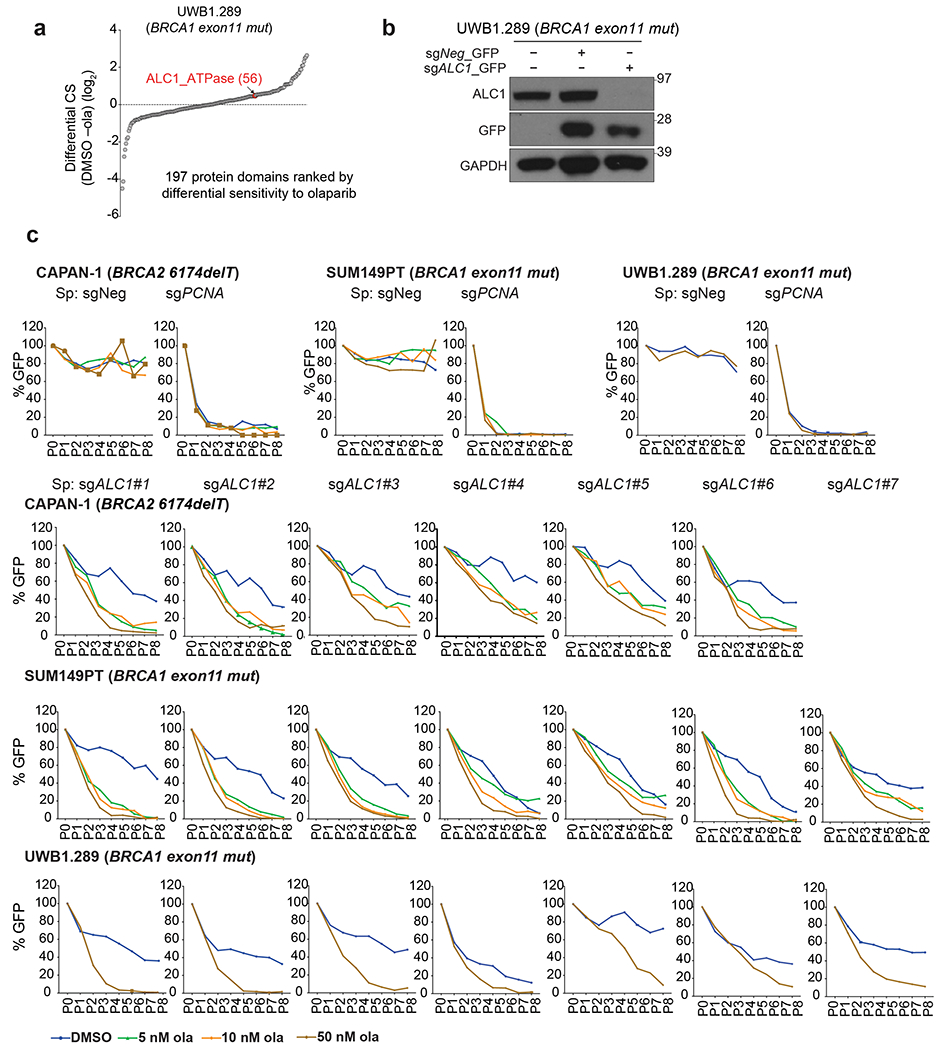 Extended Data Fig. 1