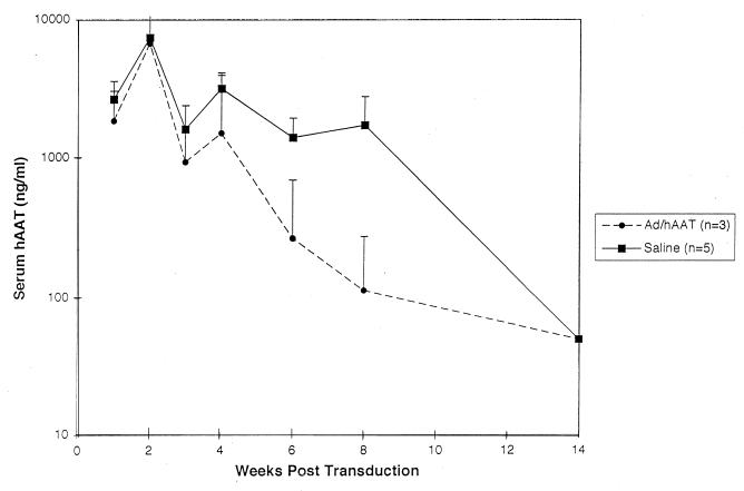 FIG. 5