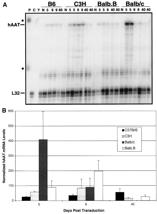 FIG. 4