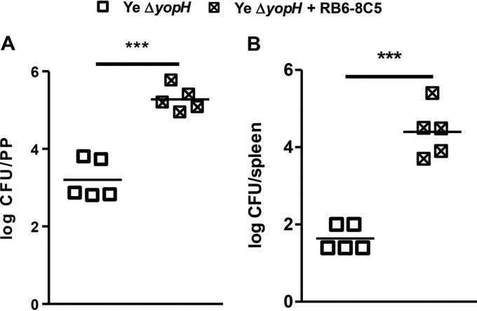 FIG 8