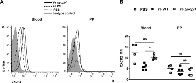 FIG 6