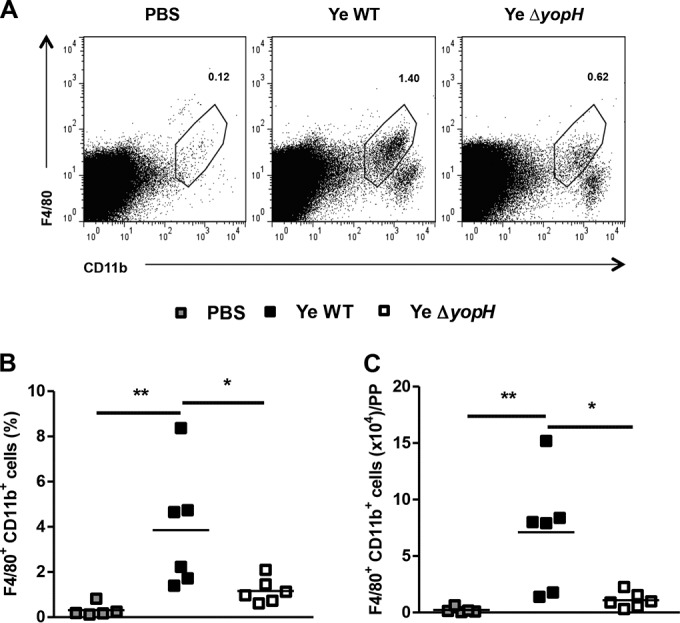 FIG 4