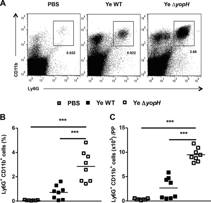 FIG 2