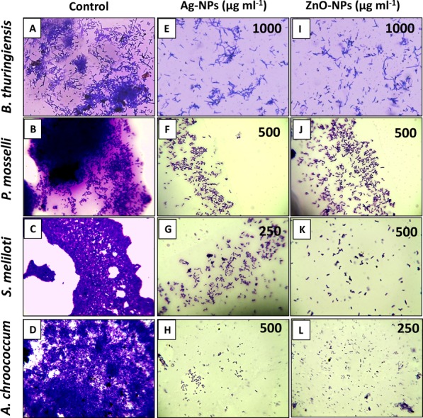 Figure 10