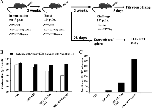 FIG. 7.