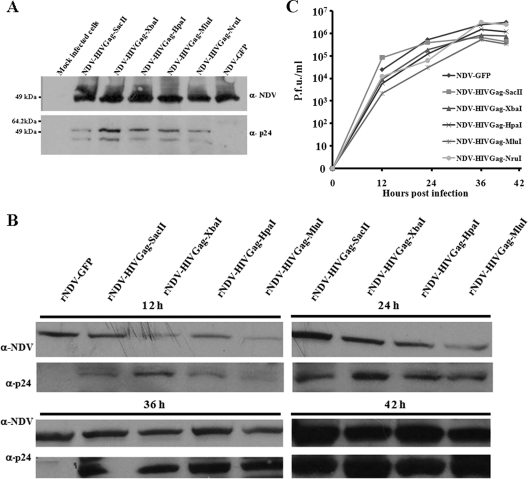 FIG. 4.