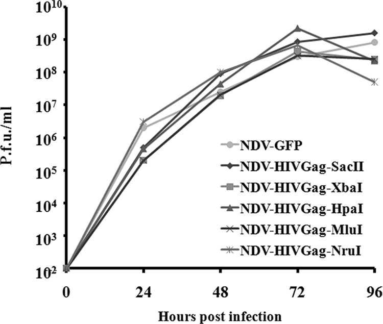 FIG. 2.