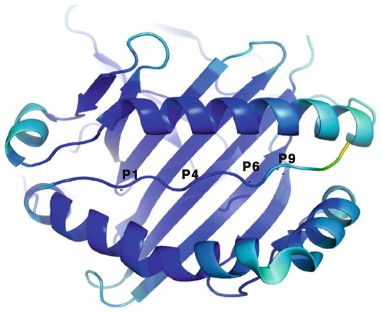 Fig. 2