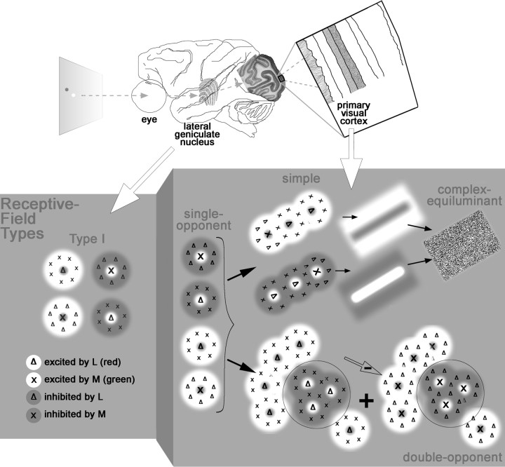 Figure 18.