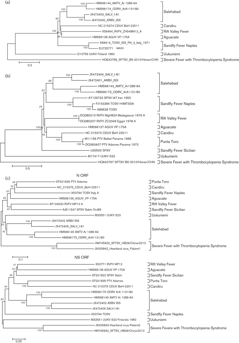 Fig. 1. 