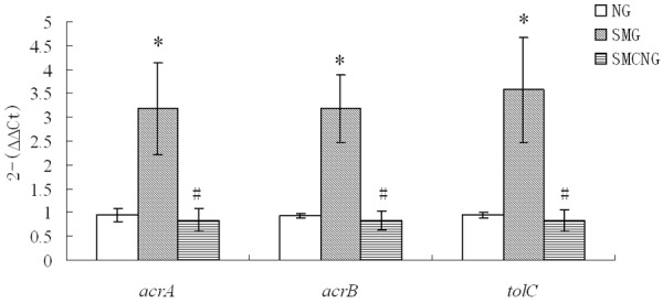 Figure 5