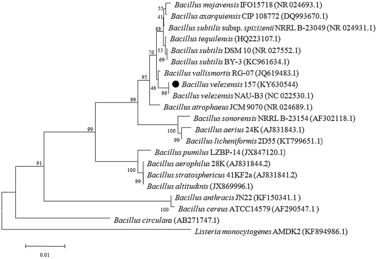 Fig. 1