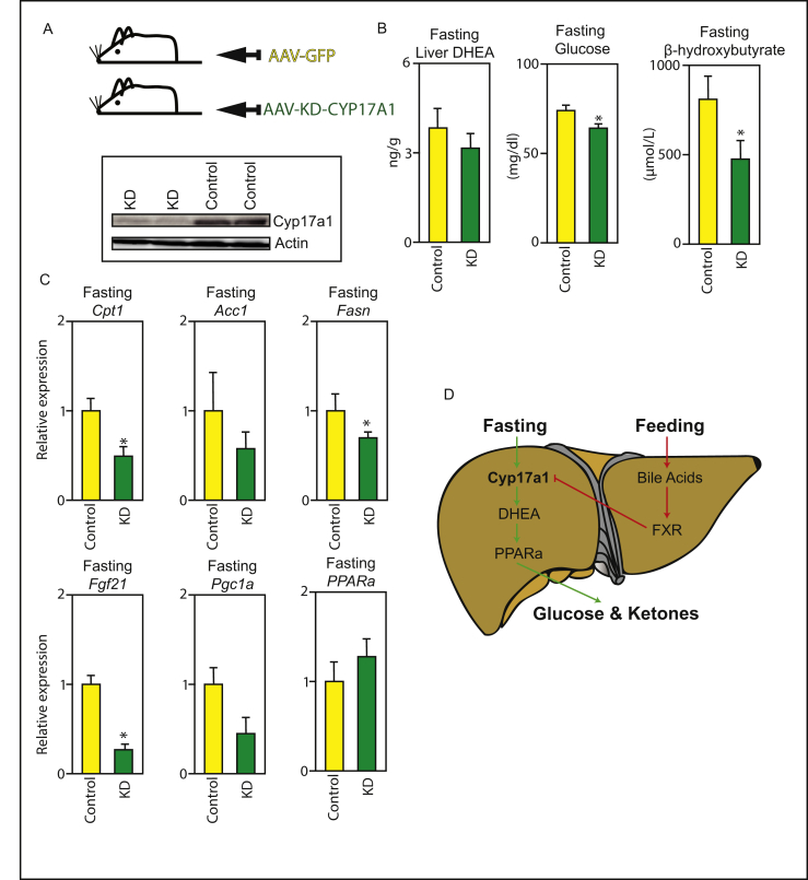 Figure 4