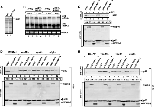 FIG. 8.