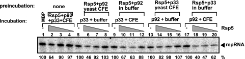 FIG. 9.