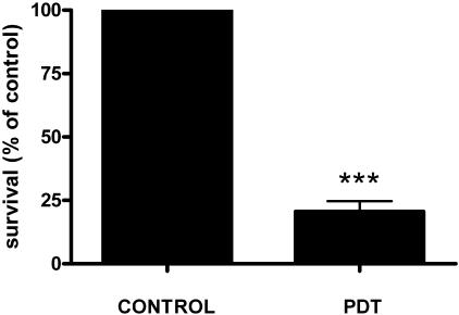 FIG. 7.