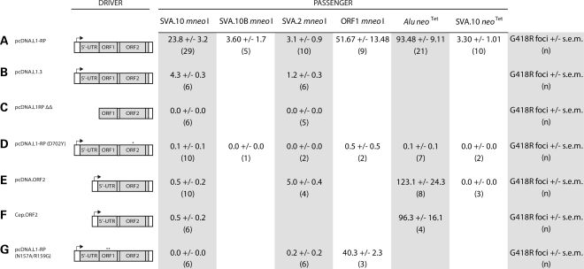 Figure 2.