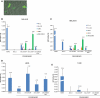 Figure 4.