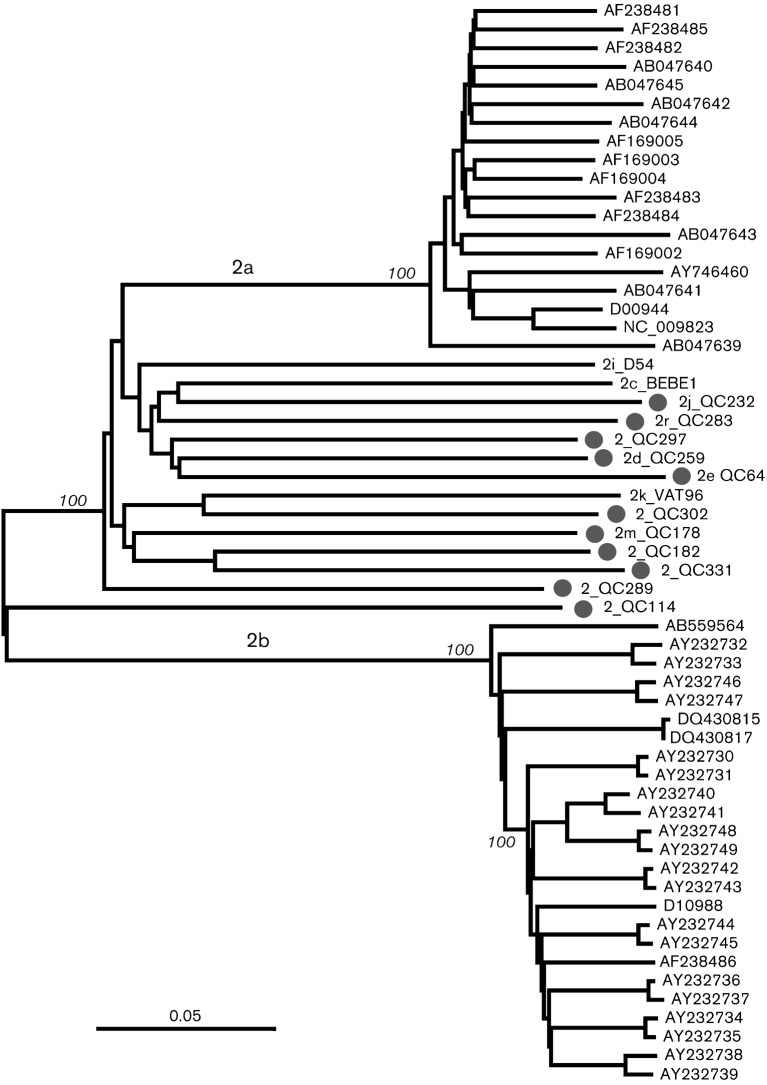 Fig. 2. 