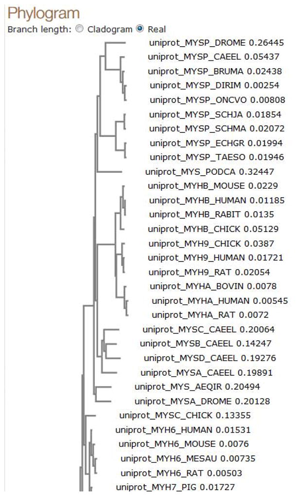 Figure 20