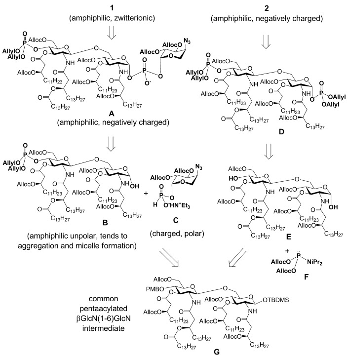 Scheme 1