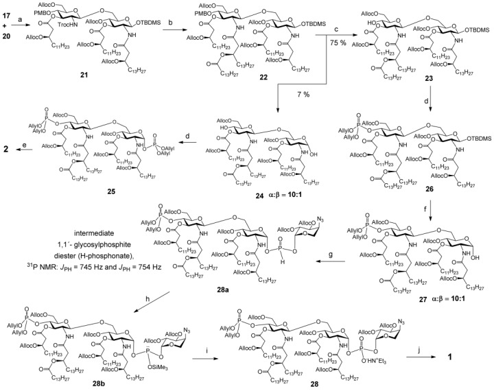 Scheme 4