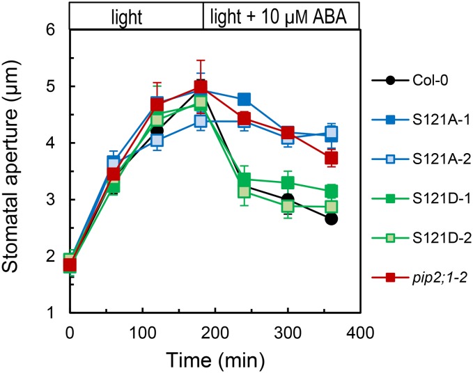 Figure 7.