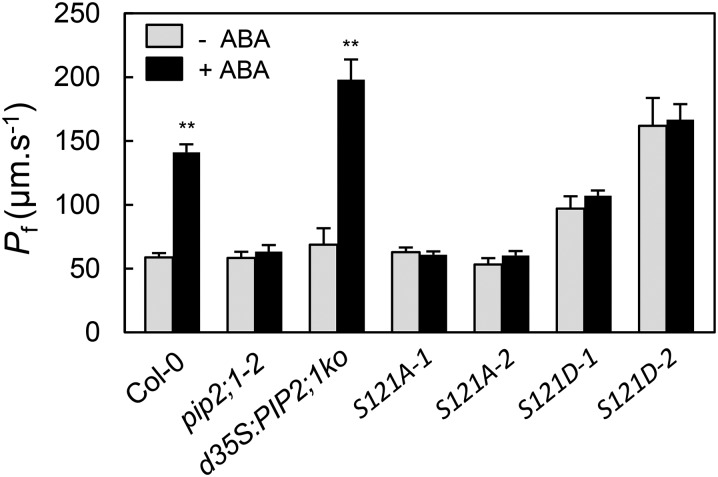 Figure 6.