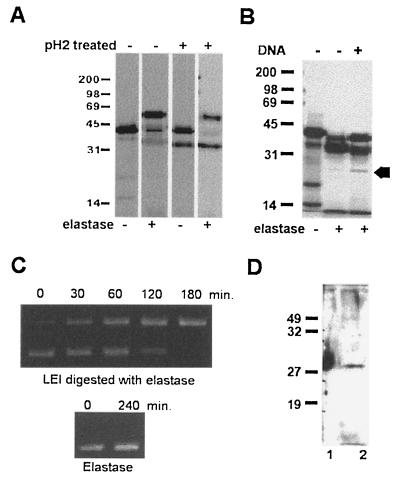 FIG. 5