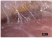 Figure 23