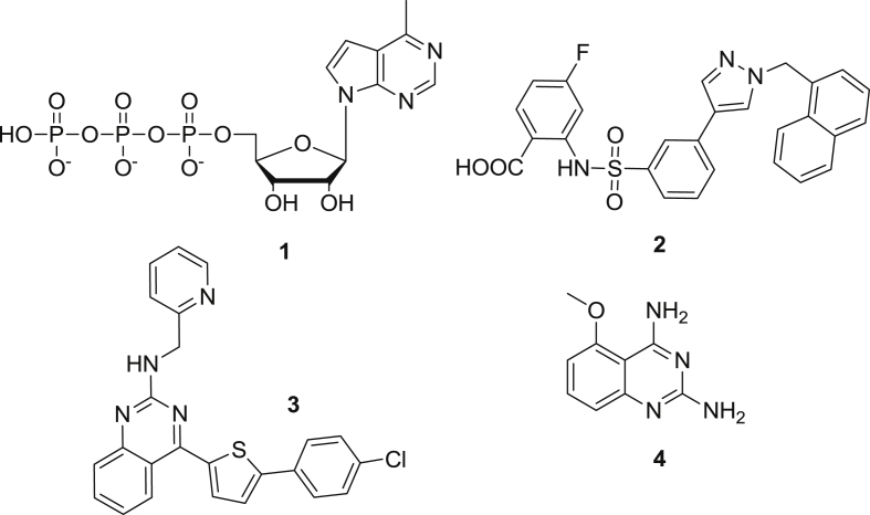 Fig. 1