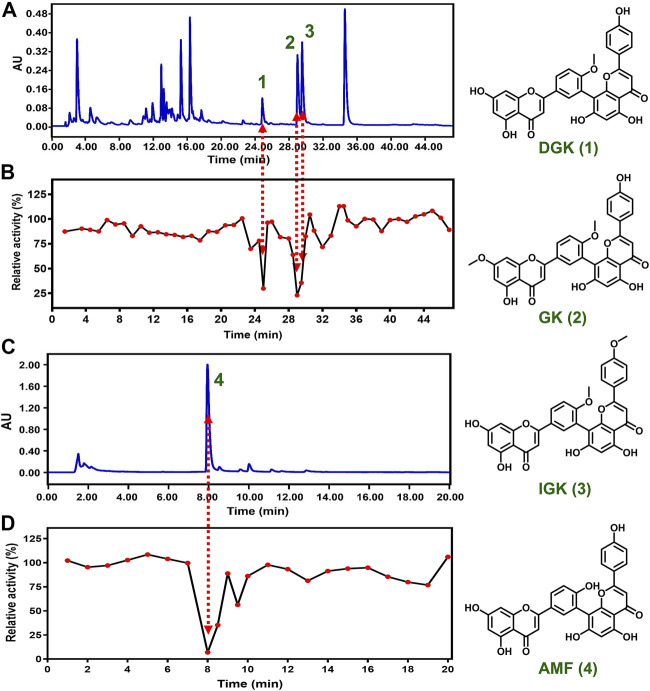 FIGURE 2