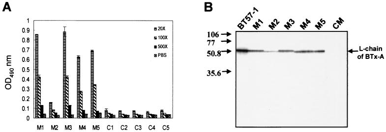 FIG. 4