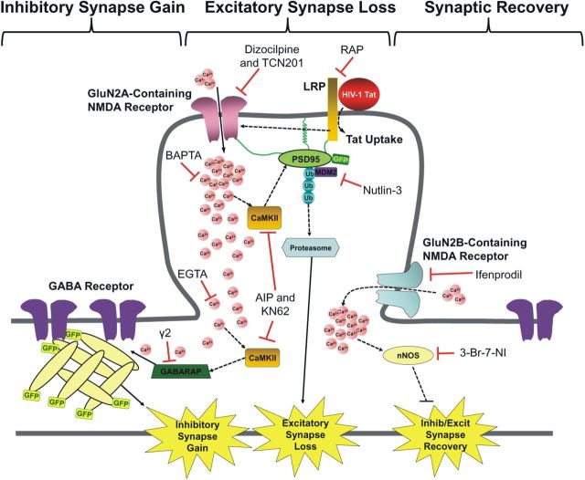 Figure 10.