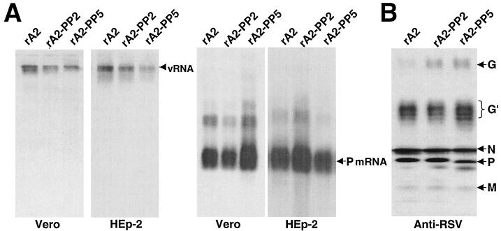 FIG. 6.