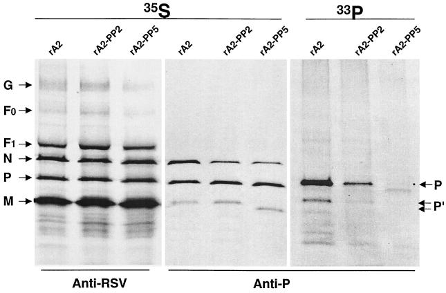 FIG. 5.