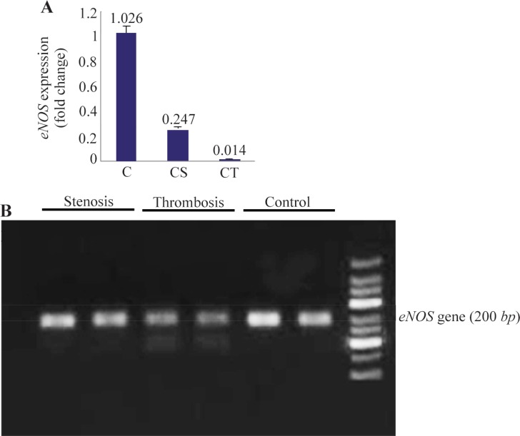 Figure 2.