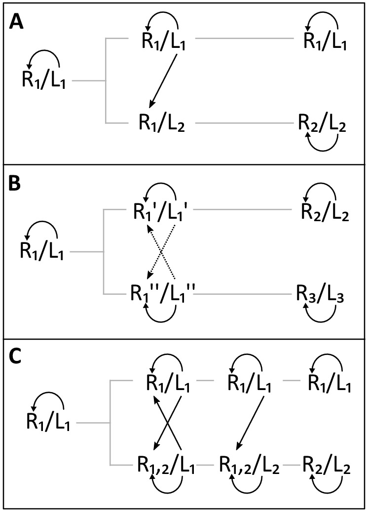 Figure 1—figure supplement 1.