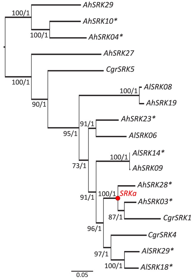 Figure 1—figure supplement 2.